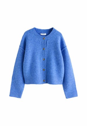 Soft blue wool cardigan with long sleeves, ribbed cuffs and hem, and five front buttons, displayed against a white background.