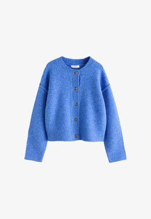 Soft blue wool cardigan with long sleeves, ribbed cuffs and hem, and five front buttons, displayed against a white background.