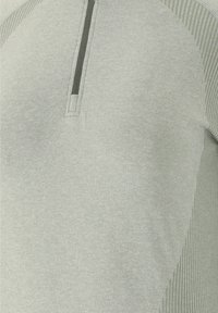 Endurance HALEN SEAMLESS  - Langærmet T-shirt - desert green