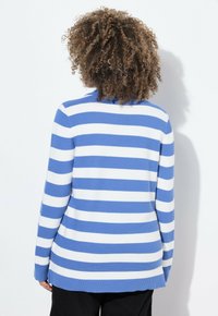 Gestreifter Pullover mit auffälligen blauen und weißen horizontalen Streifen, langen Ärmeln, Rundhalsausschnitt und einem weichen, strukturierten Strickmaterial.