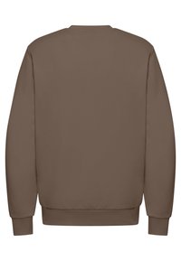 Felpa marrone con maniche lunghe, colletto a giro e polsini e orlo a costine. Il colore è uniforme e la trama è liscia. Nessun motivo o logo.