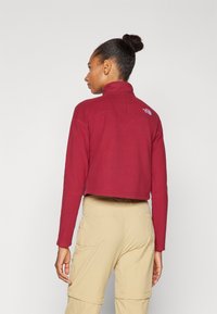 The North Face GLACIER CROPPED ¼ ZIP - Flīsa džemperis - beetroot