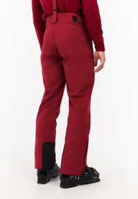 Rode waterdichte broek met verstelbare bretels, ritsen bij de enkels en zwarte accenten. Gemaakt van duurzame stof voor buitensportactiviteiten.