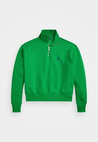 FLEECE QUARTER ZIP - Bluză de molton - preppy green