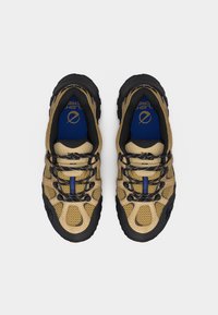 Ταμπά και μαύρα παπούτσια πεζοπορίας με μπλε λεπτομέρειες, πάνελ από δίχτυ και κορδόνια, εμφανιζόμενα από πάνω σε λευκό φόντο.