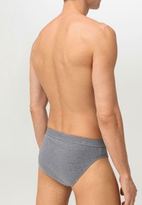 hessnatur SLIP CUT 2ER-PACK PURE NATURE  - Slip - grau