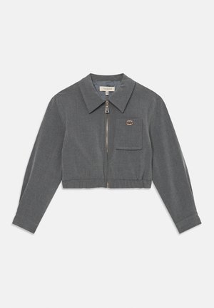 Grijze cropped jacket met een kraaghals, voorrits, één borstzak en een gouden accentdetail. Gemaakt van een getextureerde stof.
