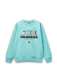 Light turquoise sweatshirt features a crew neck, ribbed cuffs and hem, and a central graphic print with the text "THIS SEEMS OKAY."