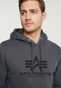 Pilkas džemperis su švelnia medžiaga, turi didelį juodą logotipą su emblemine žvaigžde ir tekstu "ALPHA INDUSTRIES" atspaustu priekyje.