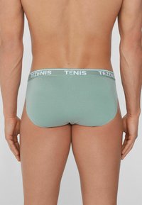 Tezenis CHRISTMAS - Kalhotky - grün y verde argilla bianco