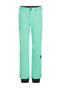 FWC CRUZ  - Slidinėjimo kelnės - retro mint