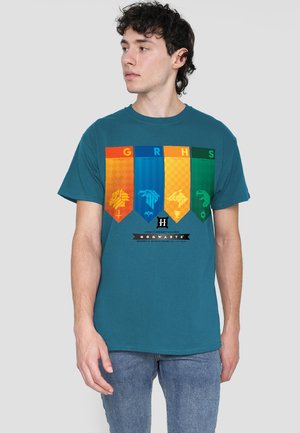 Cotton Soul, HARRY POTTER HOGWARTS HOUSE COLOR BANNERS - Print T-shirt - blue-grey