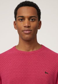 Maglione a maglia texturizzata fucsia con scollo rotondo e un piccolo logo di un cane nero sul lato sinistro del petto. Tessuto morbido con un motivo in rilievo.