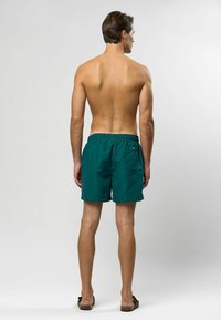 Zaļas peldbikses ar elastīgu jostu un aizmugurējo kabatu. Gluda auduma, līdz ceļgaliem, vienkāršs dizains bez redzamiem rakstiem vai akcentiem.