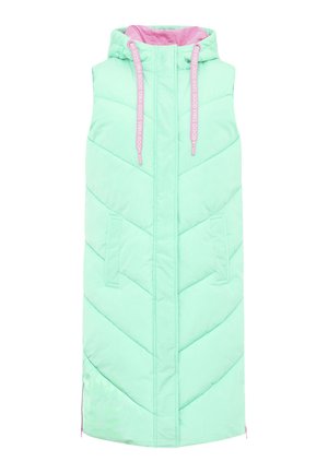 Zwillingsherz STEPP SMILE - Bodywarmer - mint