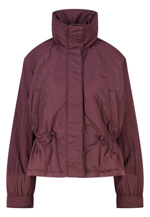 America Today, JACKET - Veste d'hiver - bordeaux