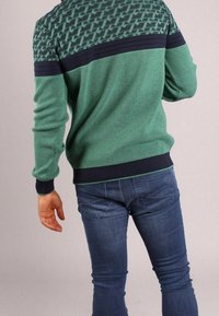 Zielony sweter o fakturze z ciemnoniebieską, wzorzystą częścią na ramionach, ściągaczami oraz dopasowanym krojem, zestawiony z niebieskimi dżinsami o klasycznym kroju.