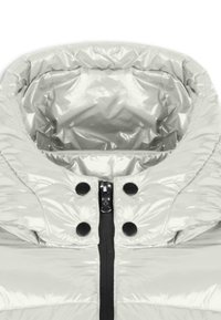 Giacca a vento argentata con colletto alto, dotata di zip frontale e dettagli in button neri. Materiale lucido e leggero con una texture liscia.