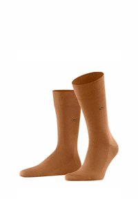 Calze di cotone marroni con una consistenza liscia, orli a coste e un sottile dettaglio di branding. Progettate per il comfort e destinate all'uso quotidiano.
