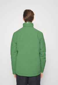 Uomo che indossa una giacca verde Alpine Mountain Wear, visto da dietro, in piedi su uno sfondo bianco uniforme.