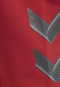 Rode stof met een opvallend zwart-wit zigzagpatroon met fijne lijnen. De textuur lijkt glad en mat.