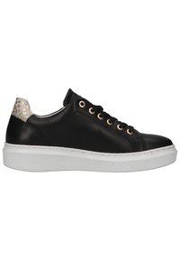 Bullboxer Trainers - black bkpl