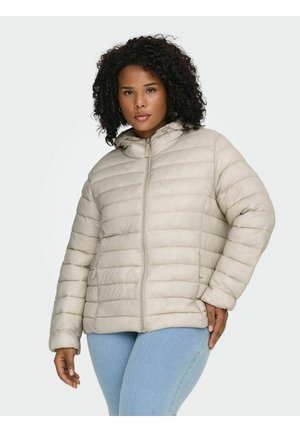 CARTAHIA QUILTED HOOD - Zimska jakna - pumice stone