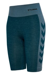 Teal träningsshorts med en bred grå midjeband, med en texturerad tyg och grå chevrondetaljer på sidan. Varumärkeslogotyp vid midjan.