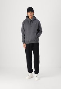 Hollister Co. Relaxed Logo Hoodie - Sportinis megztinis - irongate