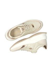 Krémové tenisky s vyraženým vzorem, metalickými zlatými detaily a bílou podrážkou. Disponují šněrovacím designem a texturovaným povrchem pro lepší přilnavost.