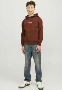 Jack & Jones Junior JORVESTERBRO - Felpa con cappuccio - brown