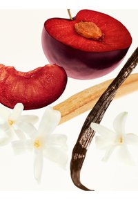 Rød plommehalvdel og skive med en skinnende skall og lysebrun kjerne, omgitt av vaniljestenger og hvite blomster på en lys bakgrunn.