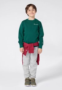 Sweatshirt verde com logotipo branco, calças de fato de treino cinza, sweatshirt vermelha amarrada à cintura e sapatilhas verdes com detalhes cinza.