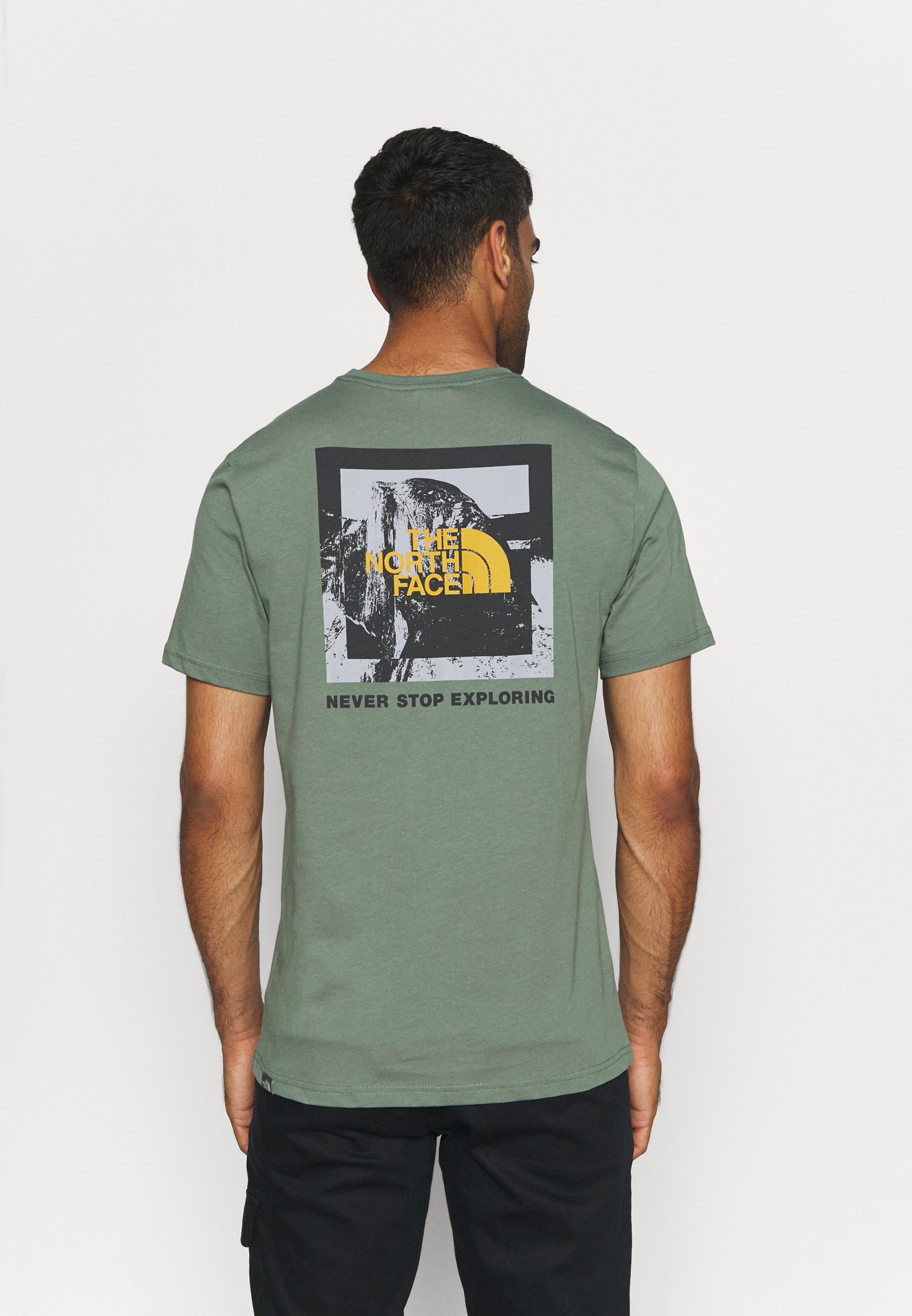 the north face of denali t shirt