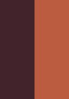 scegli il colore (4)