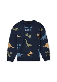 Maglione navy lavorato a maglia con motivi di dinosauri colorati e testo "WILD LIFE" in blu, verde e beige. Collo rotondo e maniche lunghe.