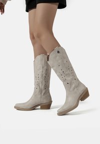 Stivali da cowboy grigio chiaro con design ritagliati, materiale scamosciato testurizzato, punte appuntite e tacchi impilati in legno.