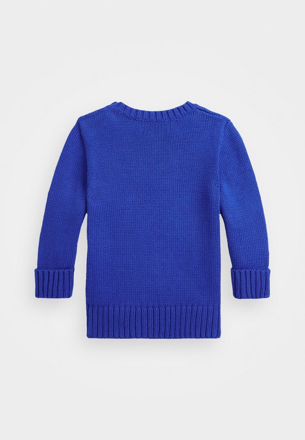 Jumper - cruise royal bear2