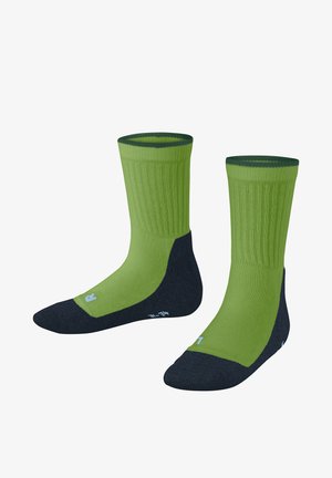 Zielone skarpety z żebrowanym górnym brzegiem, ciemnozielonymi piętami i palcami oraz jasnozielonymi akcentami. Materiał wydaje się gładki z wzmocnionymi szwami.