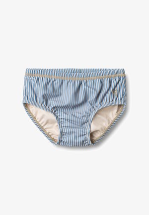 Pánské plavky svisle pruhované modrou a béžovou barvou, s elastickým pasem a otvory na nohy, zobrazené na bílém pozadí.