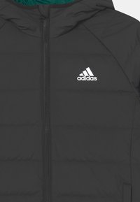 Czarna kurtka puchowa z zamkiem z przodu, kapturem i zielonym podszyciem. Posiada białe logo Adidas na piersi oraz pikowaną fakturę.