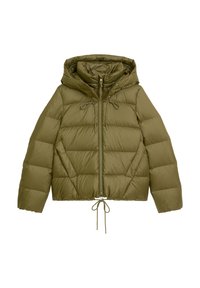 Unausgewählt, fir green