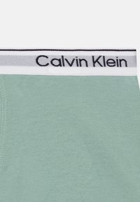 Svijetlozeleno pamuk donje rublje s bijelim pojasom na kojem piše "Calvin Klein" crnim slovima. Glatka tekstura i bešavna dizajn.