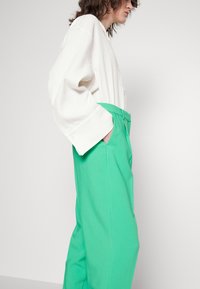 Bruuns Bazaar CINDY DAGNY PANTS - Παντελόνι - bright green