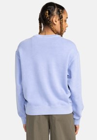 Felpa azzurro chiaro con una vestibilità comoda, scollatura a girocollo, polsini e orlo a coste, realizzata in tessuto morbido, caratterizzata da una texture liscia e dettagli minimi.