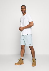 Patagonia DAILY GRAPHIC SHIRT - T-shirt desportiva - white