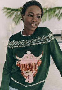 GrünerStrickpullover mit einem Hochlandrinder-Design, einem rosa Hut, strukturierten Garnen, Pailletten und einem dekorativen geometrischen Muster am Kragen.