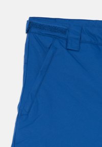 Zili šorti, kas izgatavoti no gludas auduma, ar platu jostasvietu un Velcro aizdari, sānu kabatām un tīrām šuvēm.
