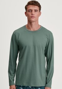Langarmshirt van zacht, gedempt groen stof. Ronde hals, aansluitende pasvorm en een soepele textuur, gecombineerd met onderkleding met een patroon dat zichtbaar is eronder.