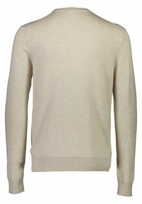 Pull beige léger à manches longues, col rond, avec poignets et ourlet côtelés. Texture douce avec des détails de couture subtils.